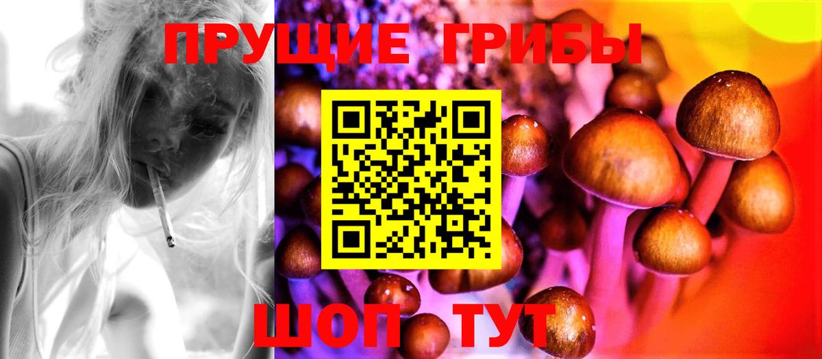 Псилоцибиновые грибы Magic Shrooms  Вход с VPN  наркошоп  Железногорск 